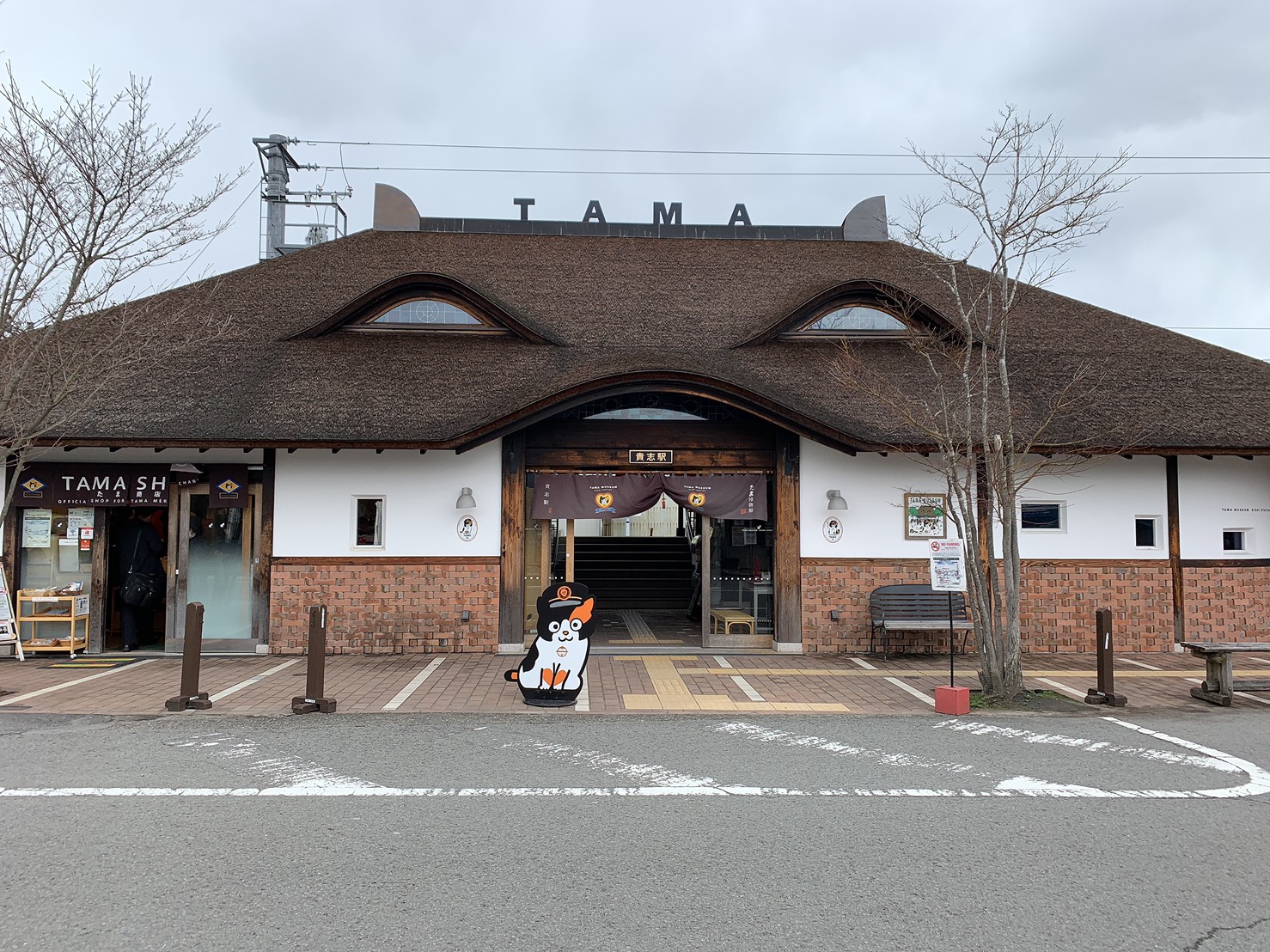 あるる～Animal Girls～日本橋オタロード店のゆんです♡　2/20（木）